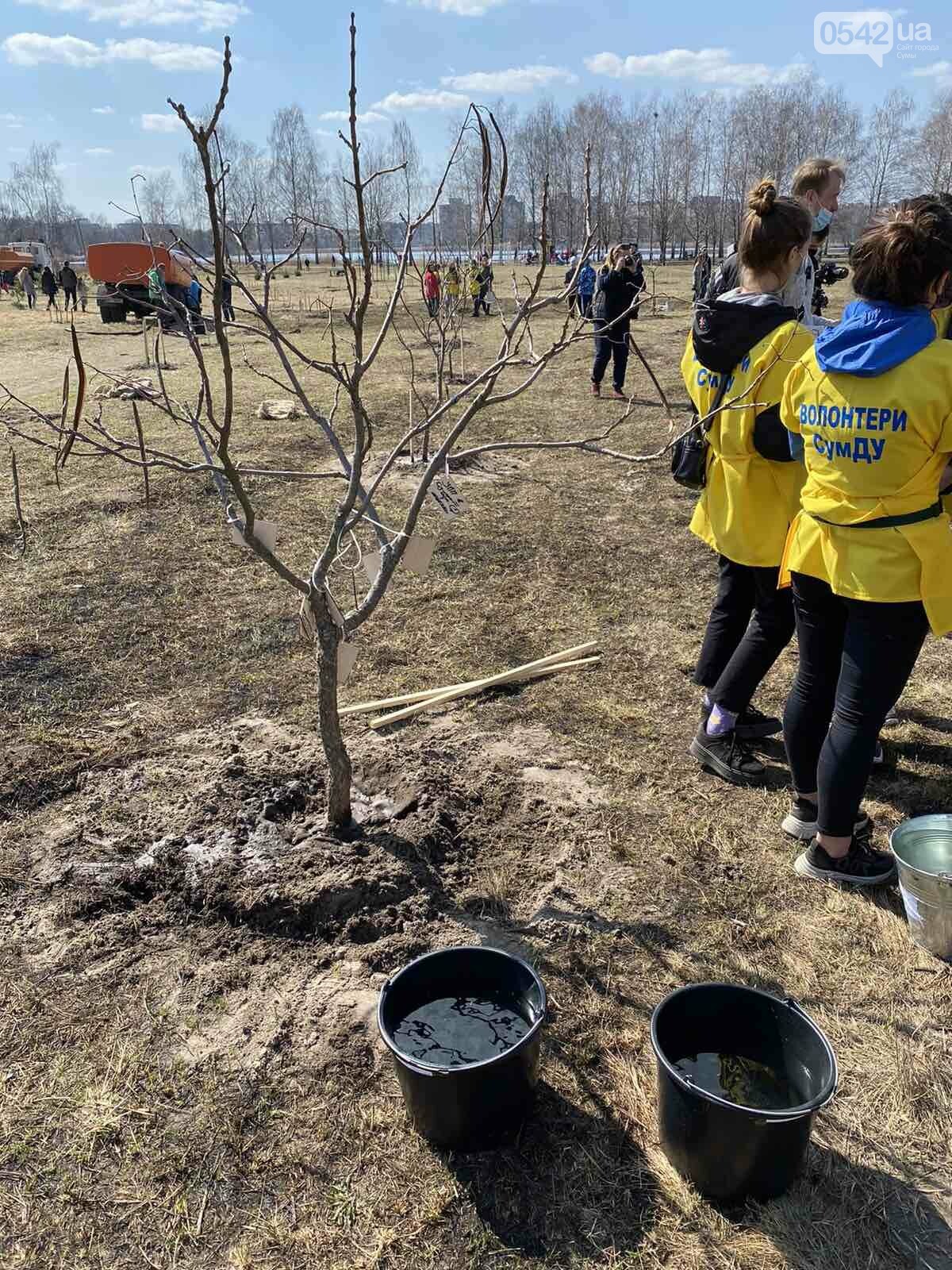 «Greening of the Planet»: у Сумах на березі озера Чеха висадили майже 450 дерев різних порід, фото-13