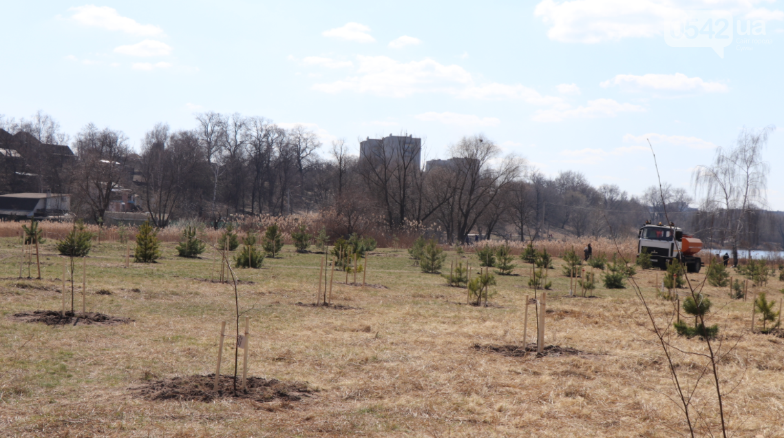 «Greening of the Planet»: у Сумах на березі озера Чеха висадили майже 450 дерев різних порід, фото-14