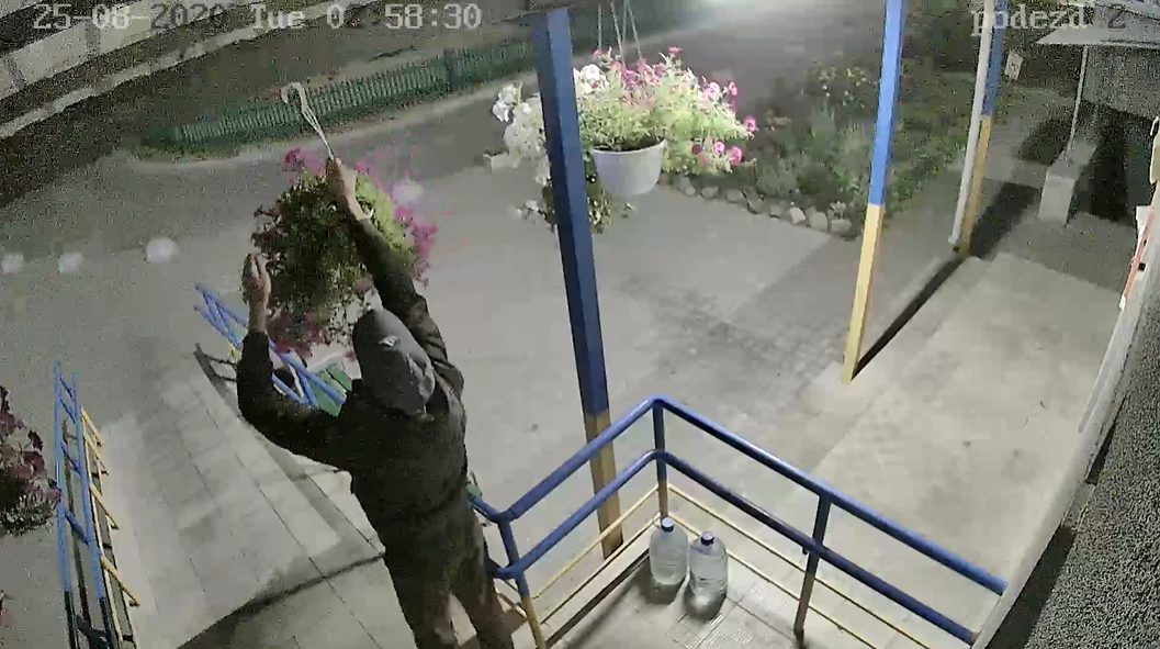 У Сумах камера відеоспостереження зафіксувала крадія квітів , фото-1 У Сумах камера відеоспостереження зафіксувала крадія квітів , фото-1