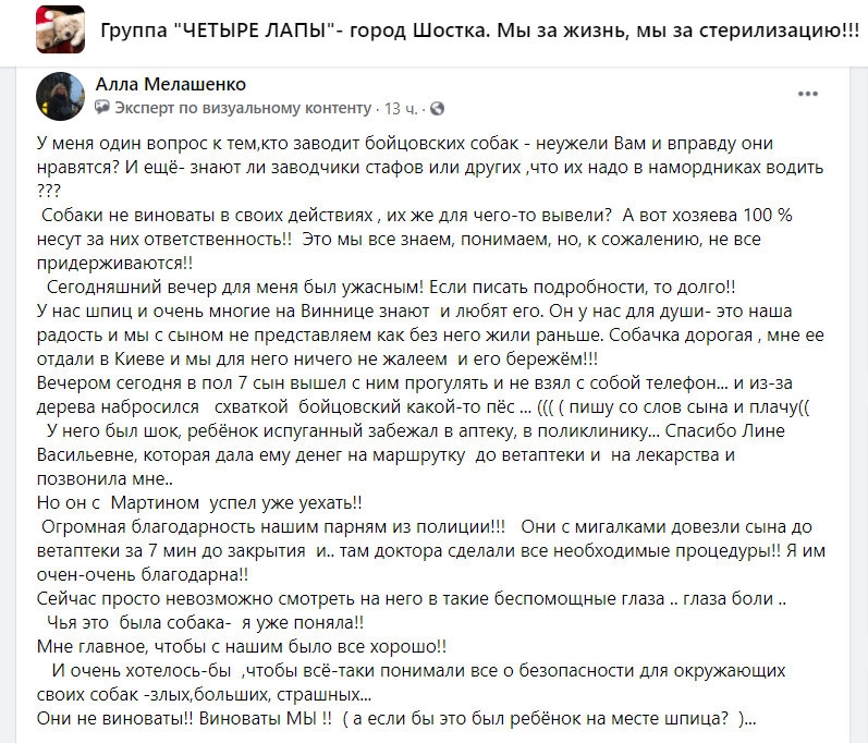 У Шостці бійцівських собак випускають на самовигул без намордників? На домашнього шпіца напав і травмував стаф