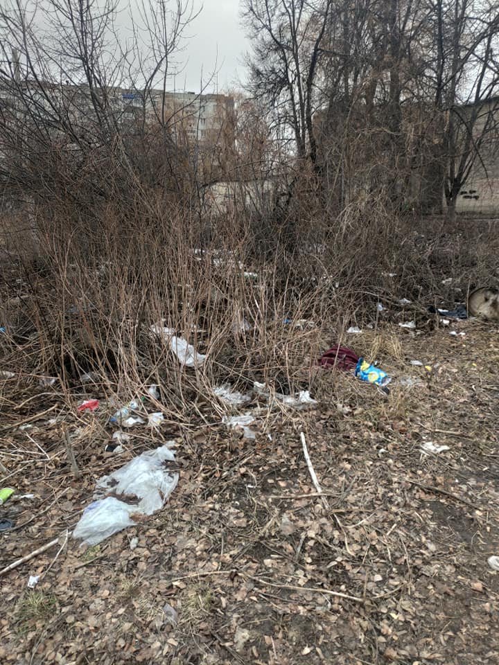 Сумчанка просить владу звернути увагу на звалище сміття біля дитячого садочку, фото-4