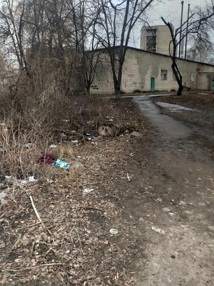 Сумчанка просить владу звернути увагу на звалище сміття біля дитячого садочку, фото-3