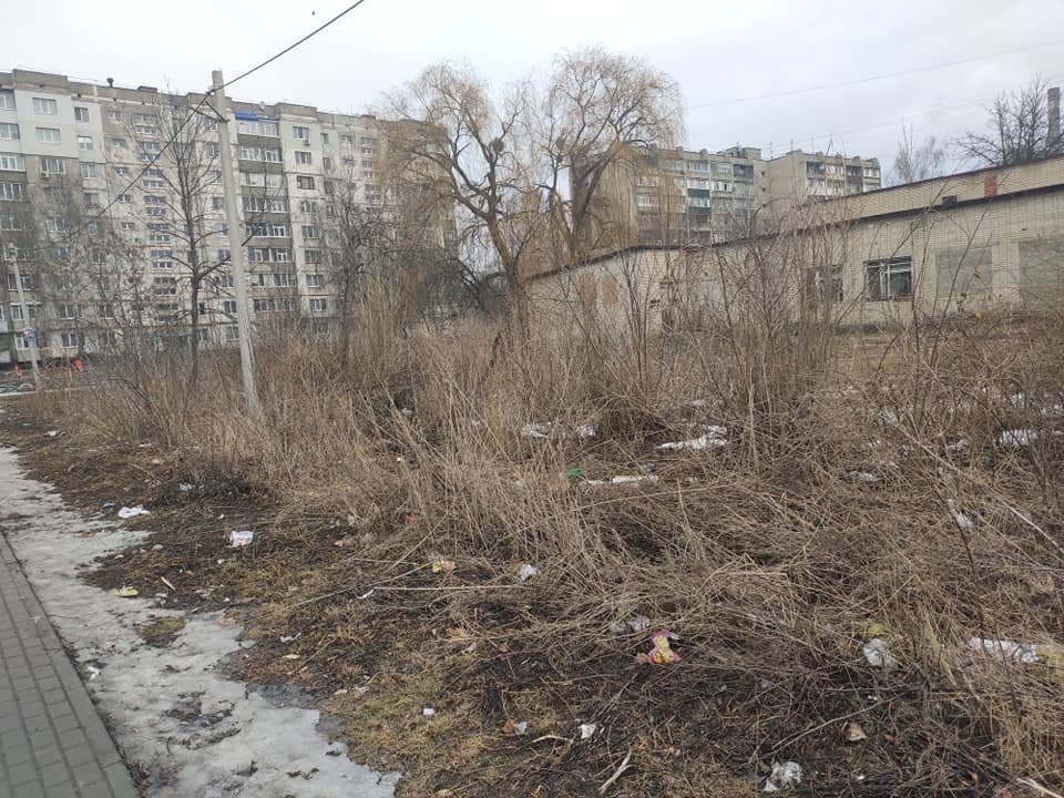 Сумчанка просить владу звернути увагу на звалище сміття біля дитячого садочку, фото-9