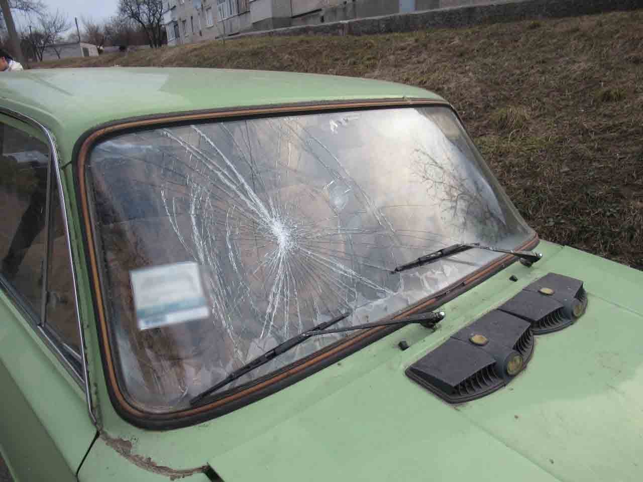 Троє молодиків на Сумщині заради розваги угнали авто та спалили , фото-3