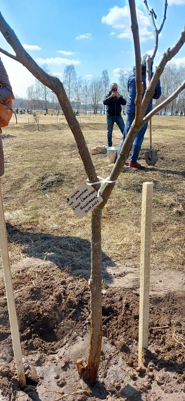 У Сумах біля озера Чеха в пам’ять по лікаря висадили іменне дерево Ємця  Олександра Михайловича 