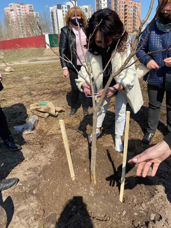 У Сумах біля озера Чеха в пам’ять по лікаря висадили іменне дерево Ємця  Олександра Михайловича , фото-1