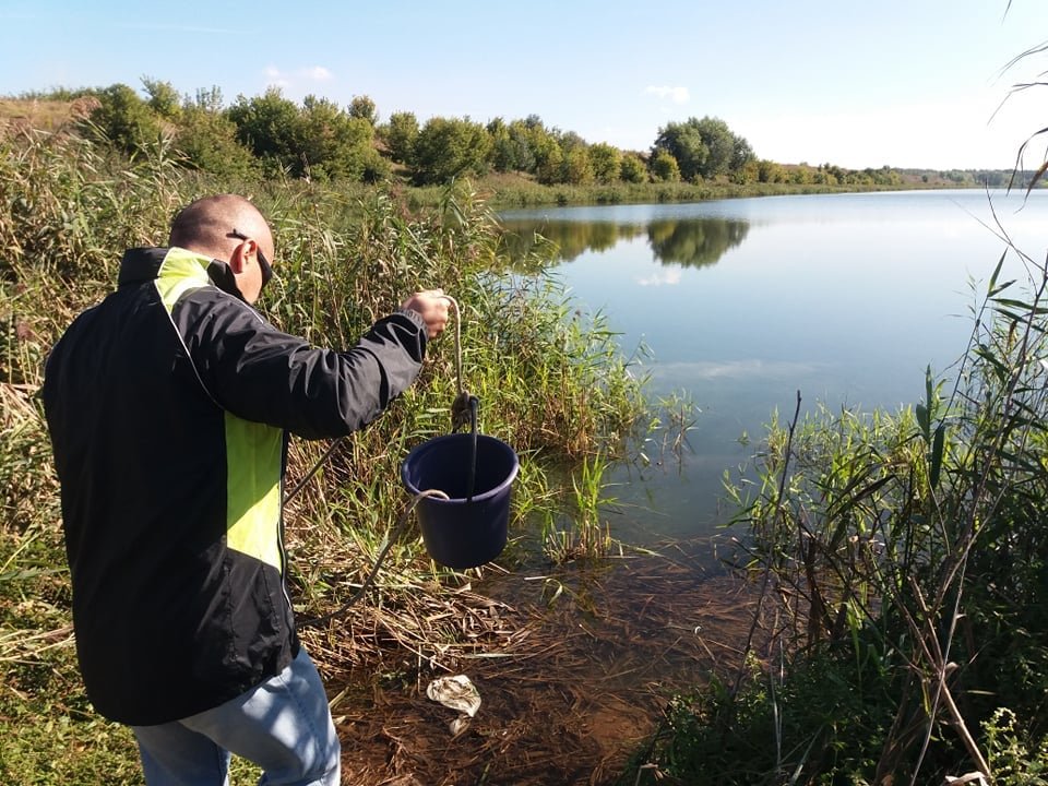 На озері Олдиш в Сумах гине риба: екоінспектори відібрали проби води