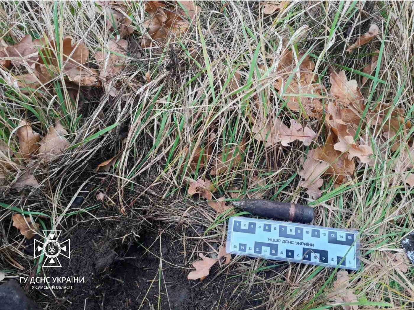 За минулу добу піротехніки Сумщини виявили 8 вибухонебезпечних предметів