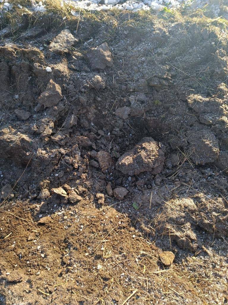 Під час ворожого обстрілу на Сумщині загинули корови
