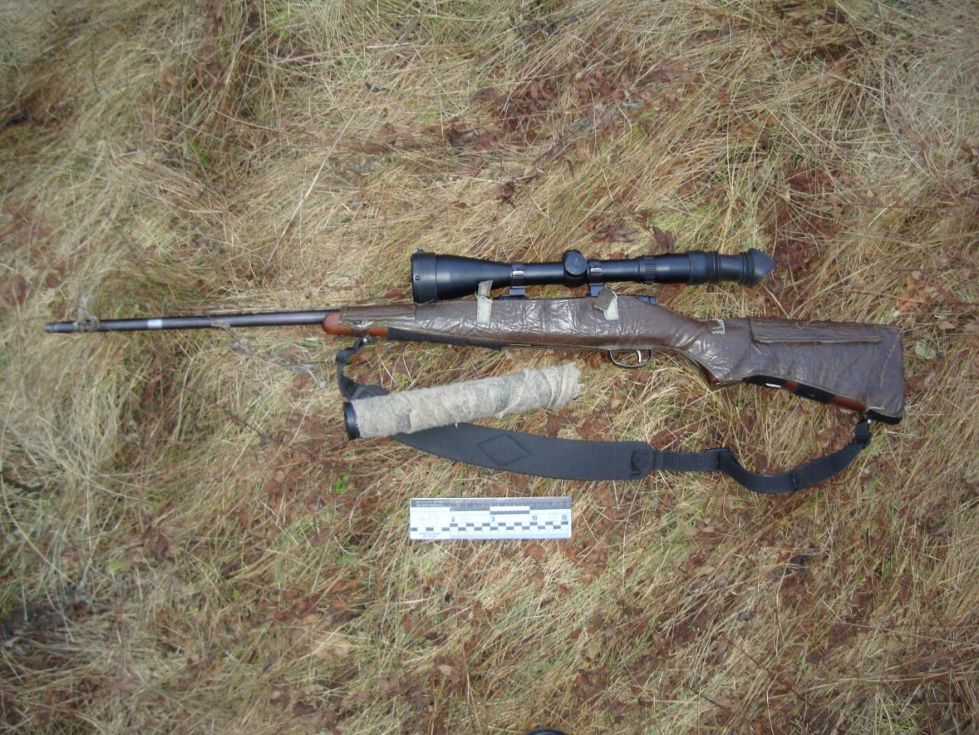 На Конотопщині поліцейські викрили трьох браконьєрів, які вбили косулю
