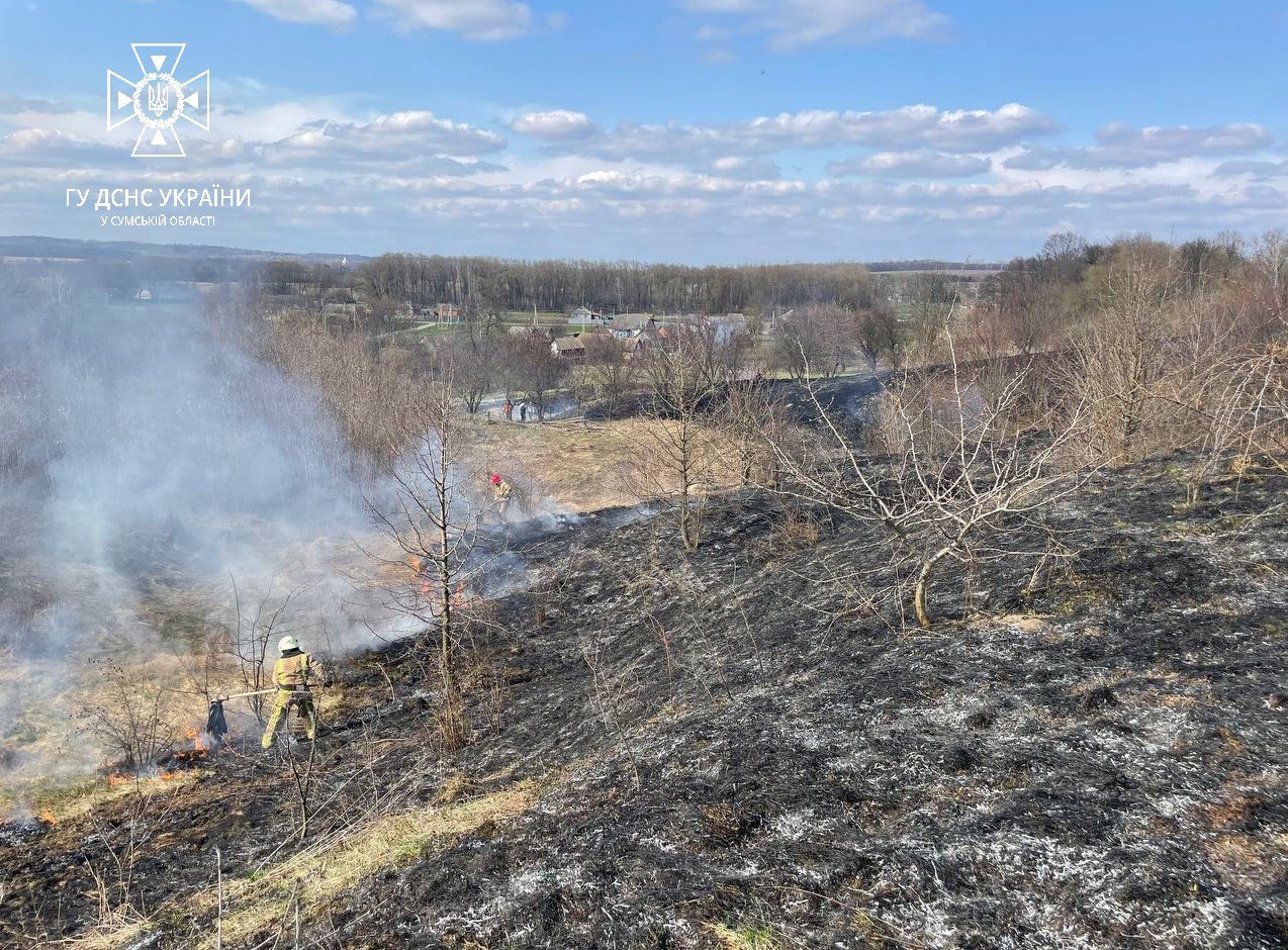 За минулу добу вогнеборці Сумщини 11 разів ліквідовували загоряння на відкритих територіях 