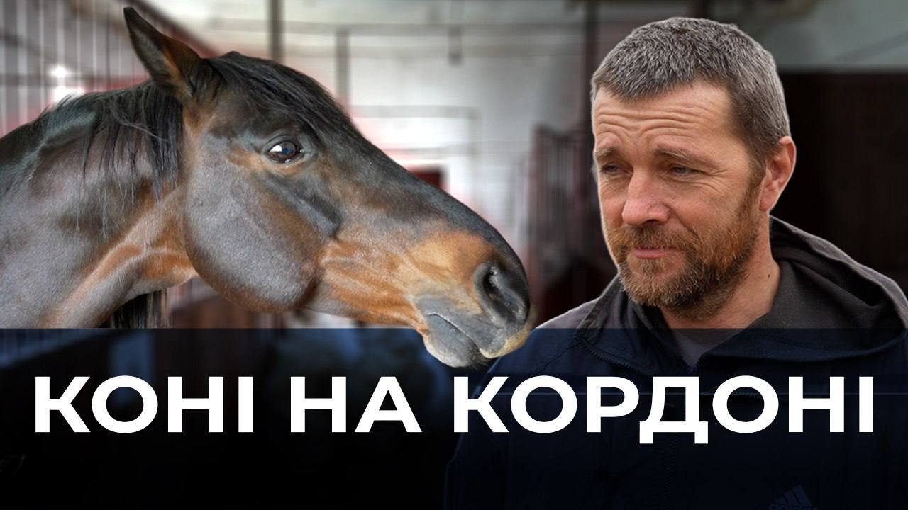 Житель прикордоння Сумщини облаштували притулок для покинутих тварин 