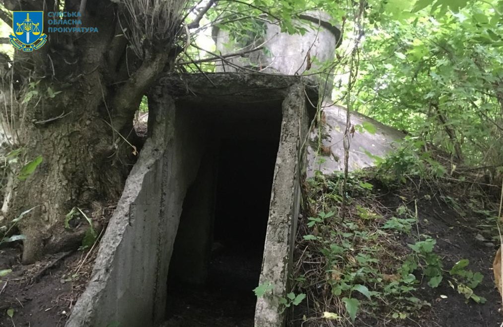 19-річному вбивці пенсіонера у Сумському районі дали 11 років