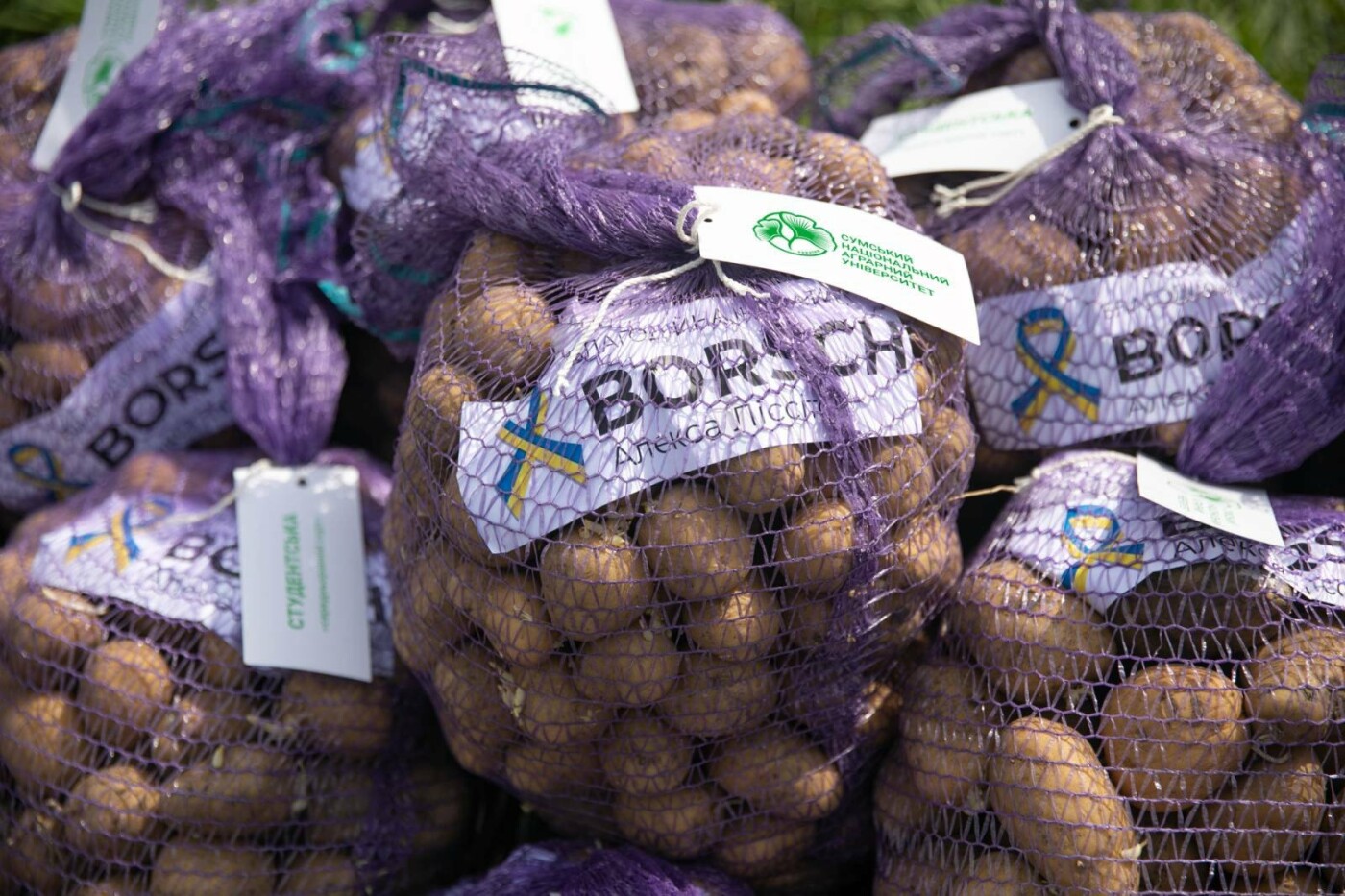 СНАУ співпрацює з благодійною організацією BORSCH