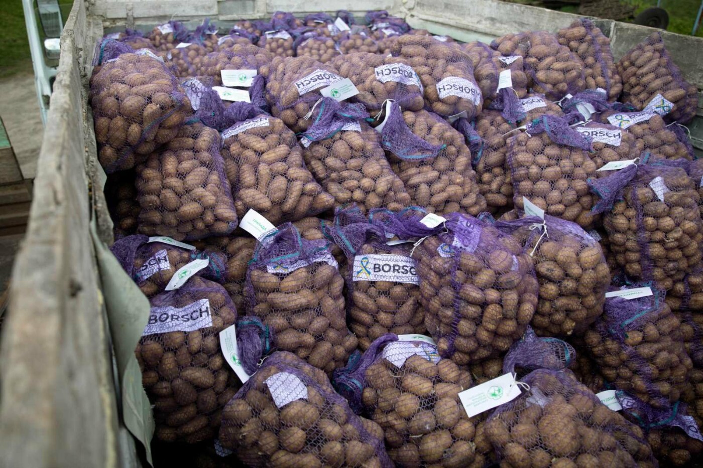 СНАУ співпрацює з благодійною організацією BORSCH