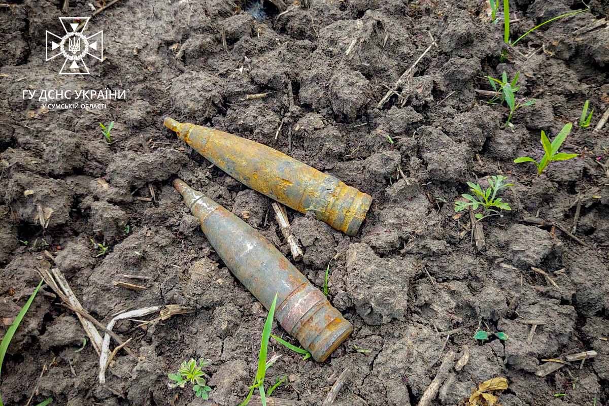За минулу добу на Сумщині піротехніки ДСНС виявили та знищили 7 вибухонебезпечних предметів 