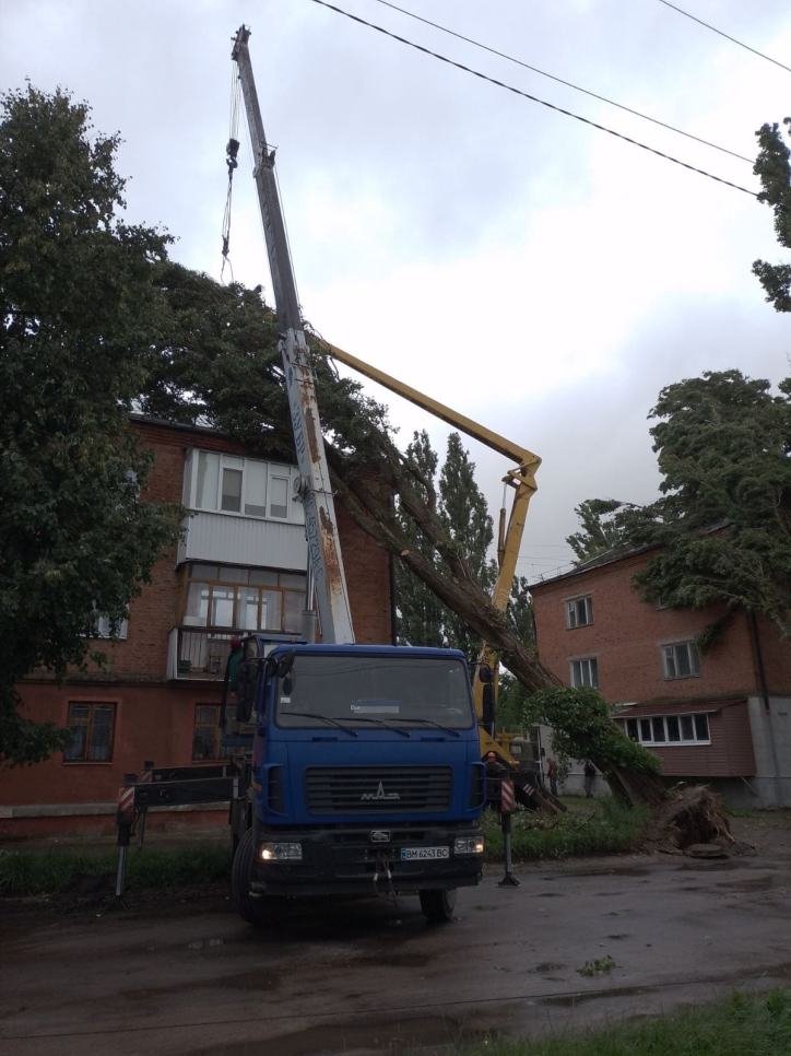 У Шосткинській громаді на Сумщині триває ліквідація наслідків негоди, у чотирьох селах немає світла