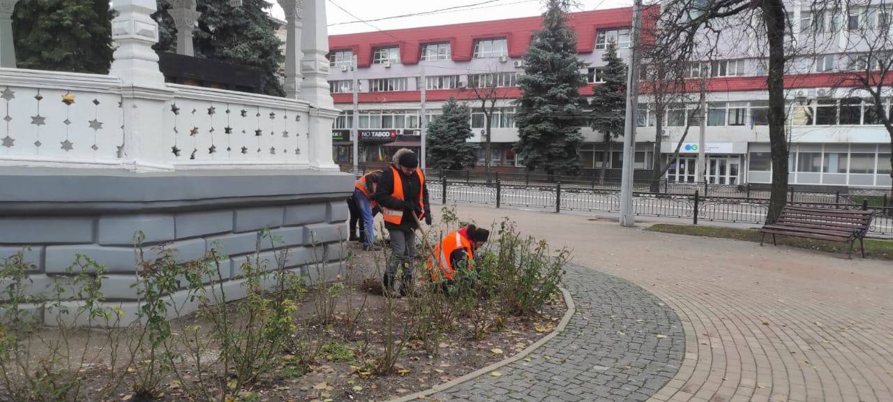 У Сумах квітнутиме тисяча одеських троянд