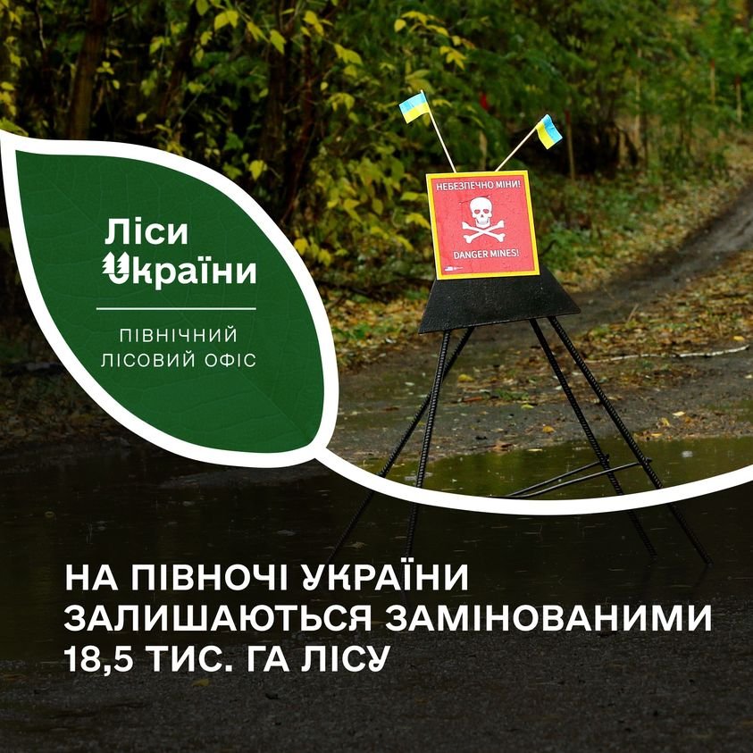 Понад 18 тисяч гектарів лісу на Сумщині та Чернігівщині заміновані , фото-1