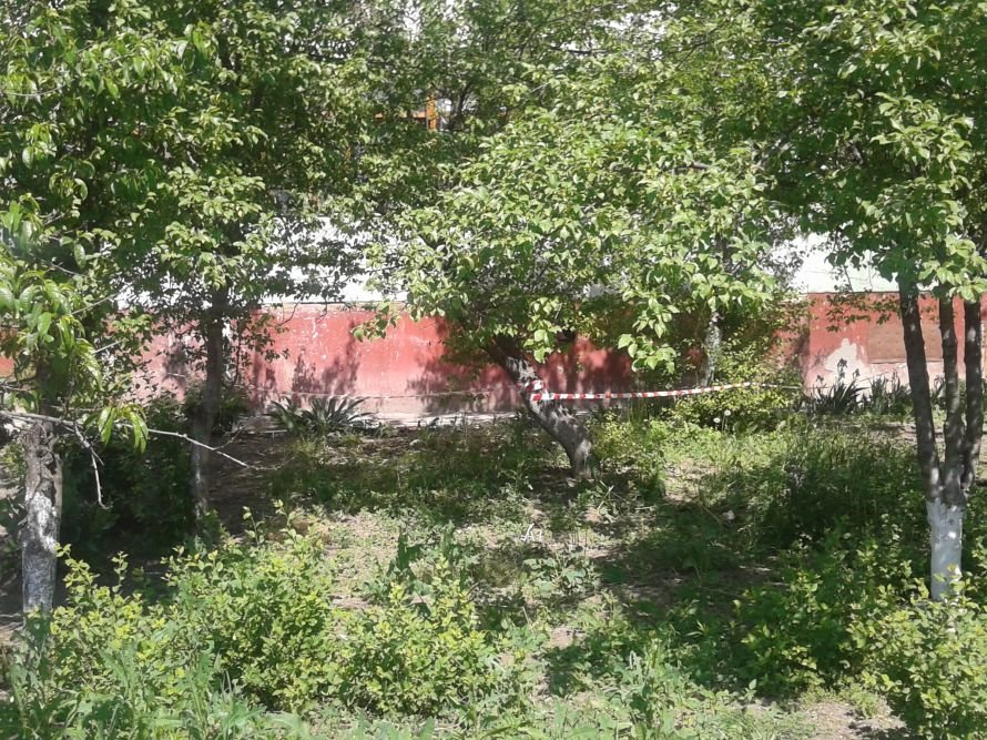 2013-05-15 11.03.53 2013-05-15 11.03.53