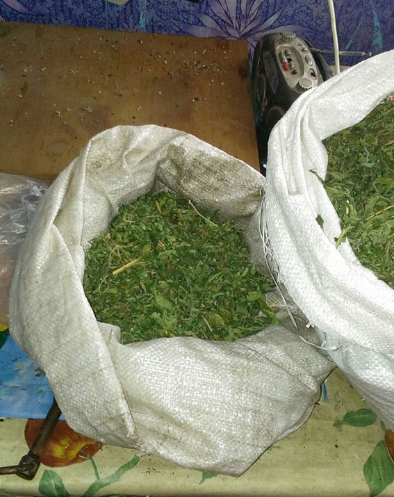 Полиция задержала трёх мужчин, которые занимались изготовлением наркотиков (ФОТО) (фото) - фото 1